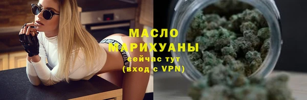 дмт Алексин